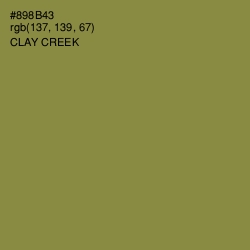 #898B43 - Clay Creek Color Image